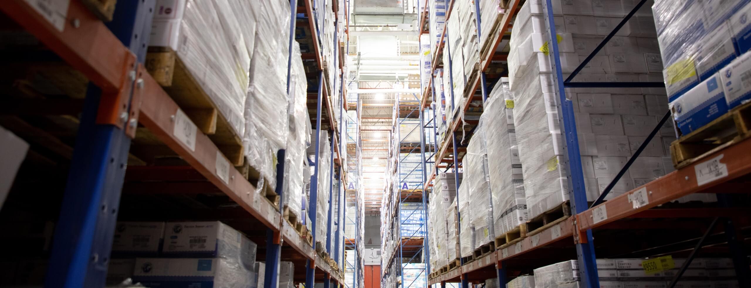 File di pallet in un deposito doganale, a dimostrazione delle soluzioni di stoccaggio organizzate per le merci importate sotto il controllo doganale.