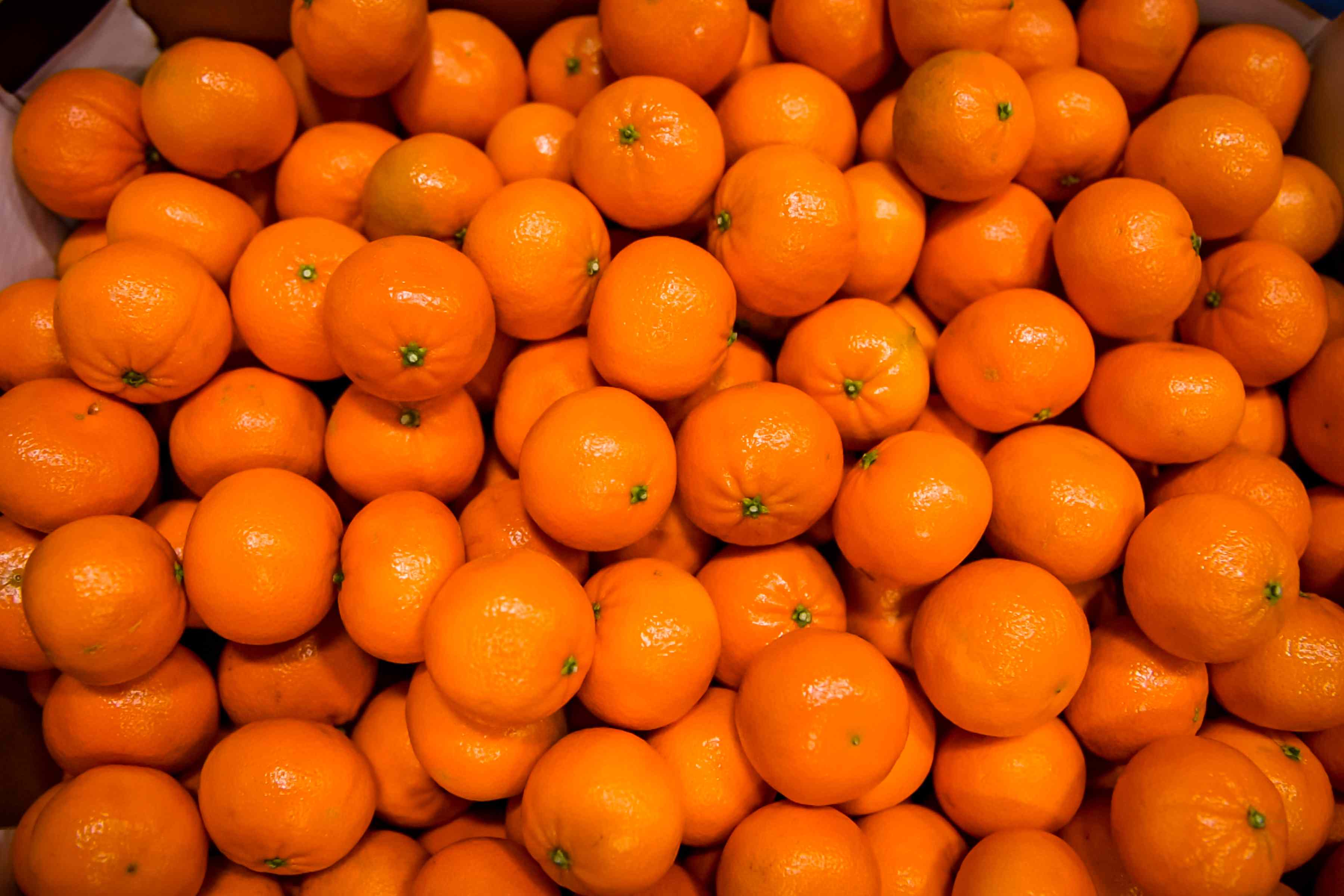 Mandarins citrus fruit