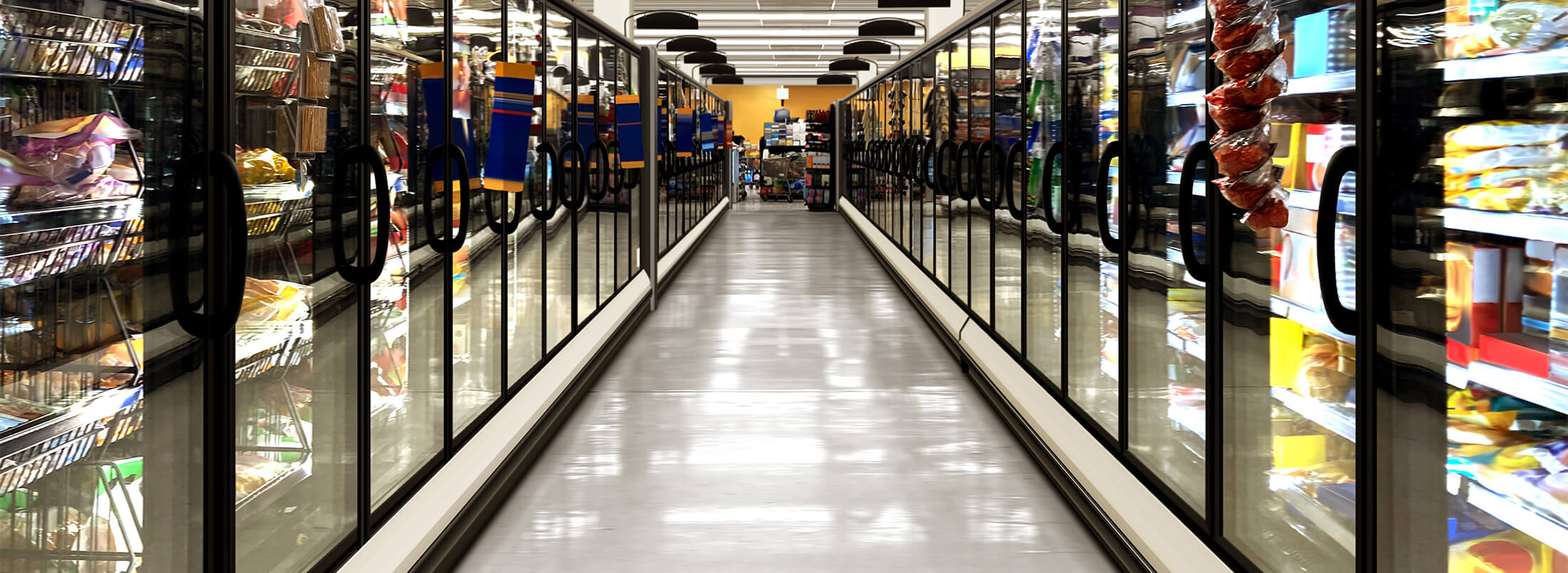 Frozen food aisle with cold storage cases, symbolizing efficient cross-border logistics.