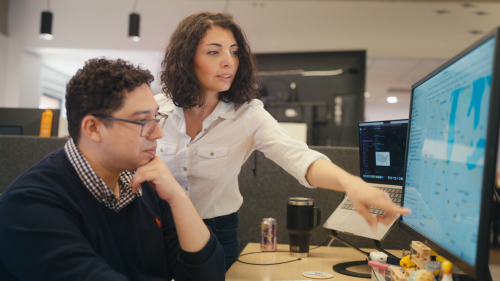Two Lineage team members collaborate at a workstation, reviewing data on a computer screen during a skills-based volunteer or project session.