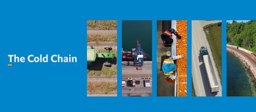 A visual of the journey of food through the cold chain