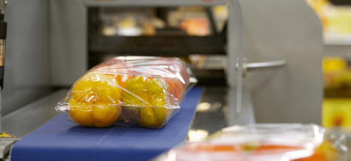 Navigating the Cold Chain's First Mile in a Race Against Time | Lineage ...