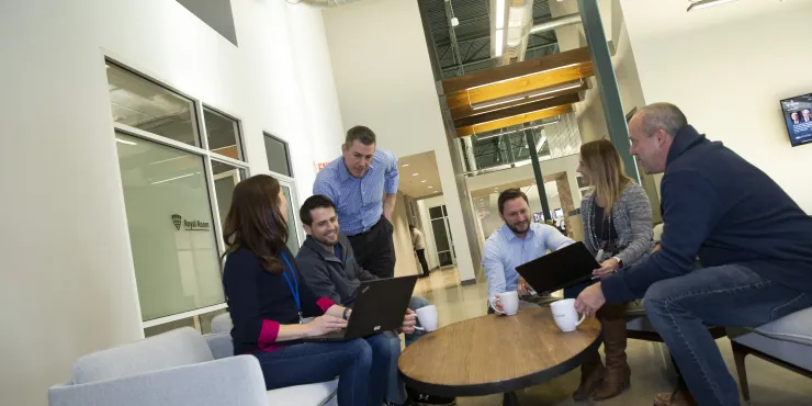 Team members collaborating in the Novi office